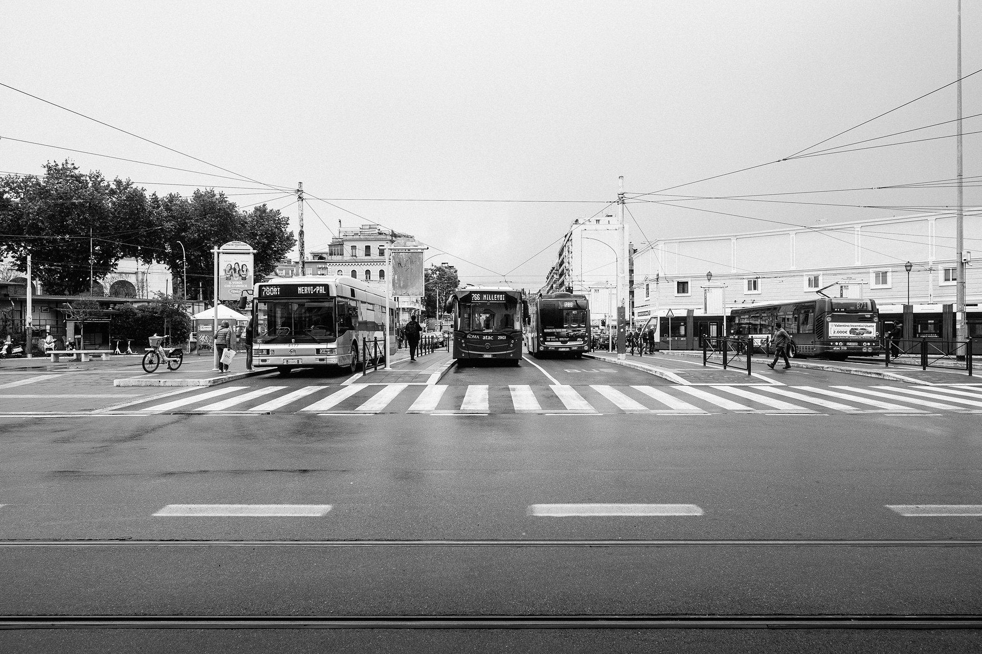 未命名丨Alexander Rentsch-127