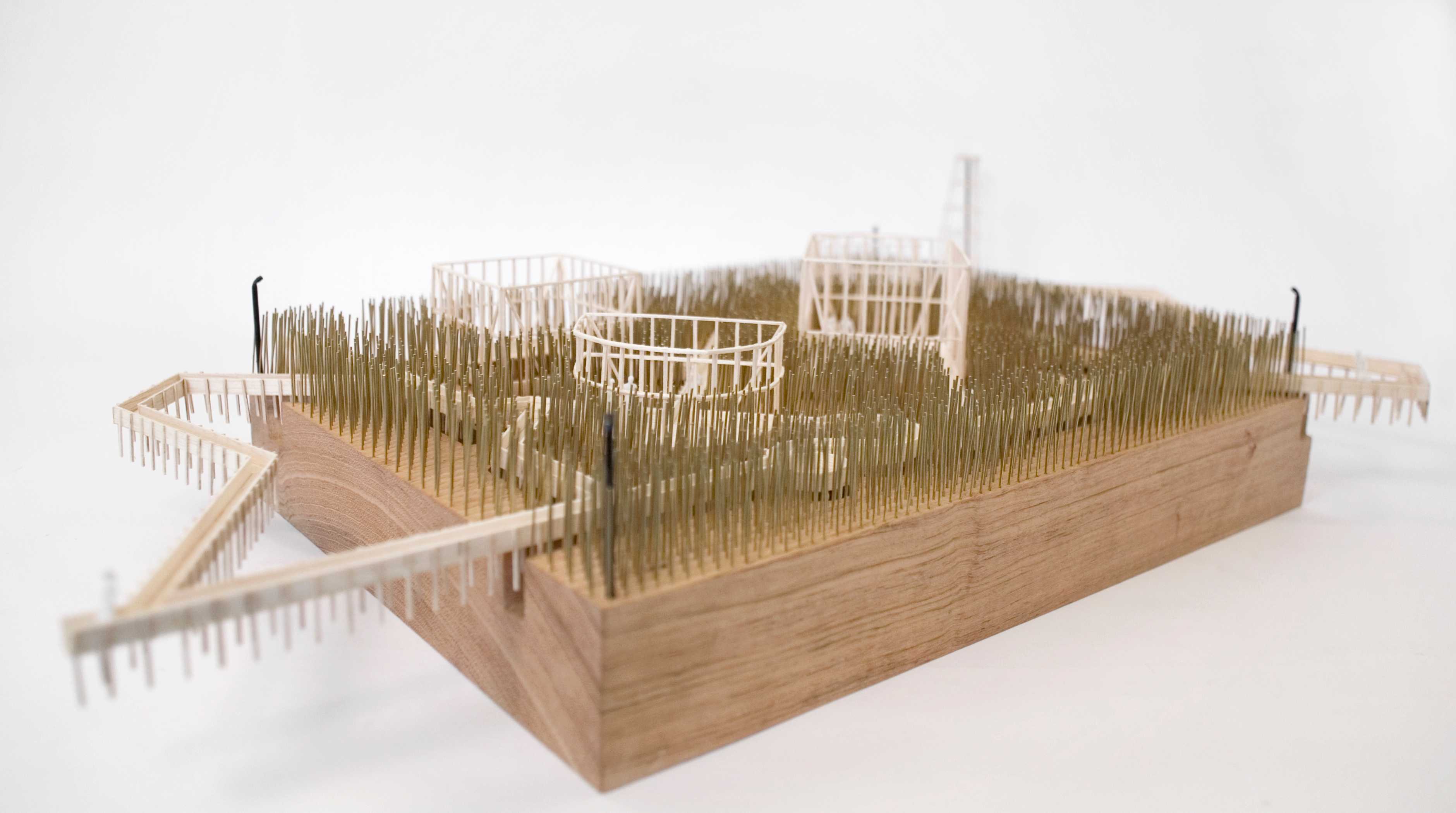 岔路花园（The Garden of Forking Paths）-29