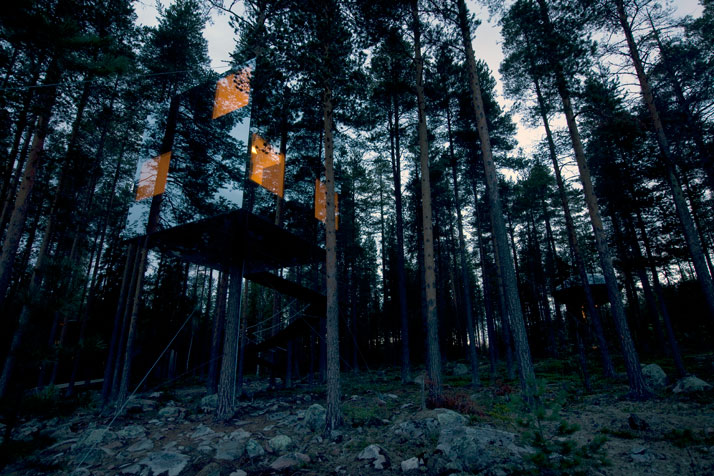 Treehotel...Sleep in Nature!-10