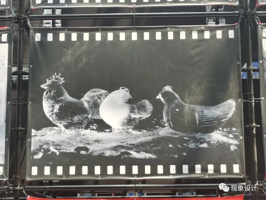 哈尔滨冰灯游园会丨中国哈尔滨丨哈尔滨人-6