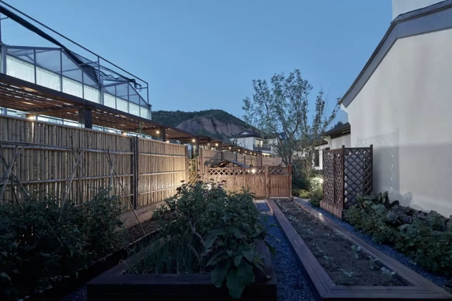 北京桃李春风-75