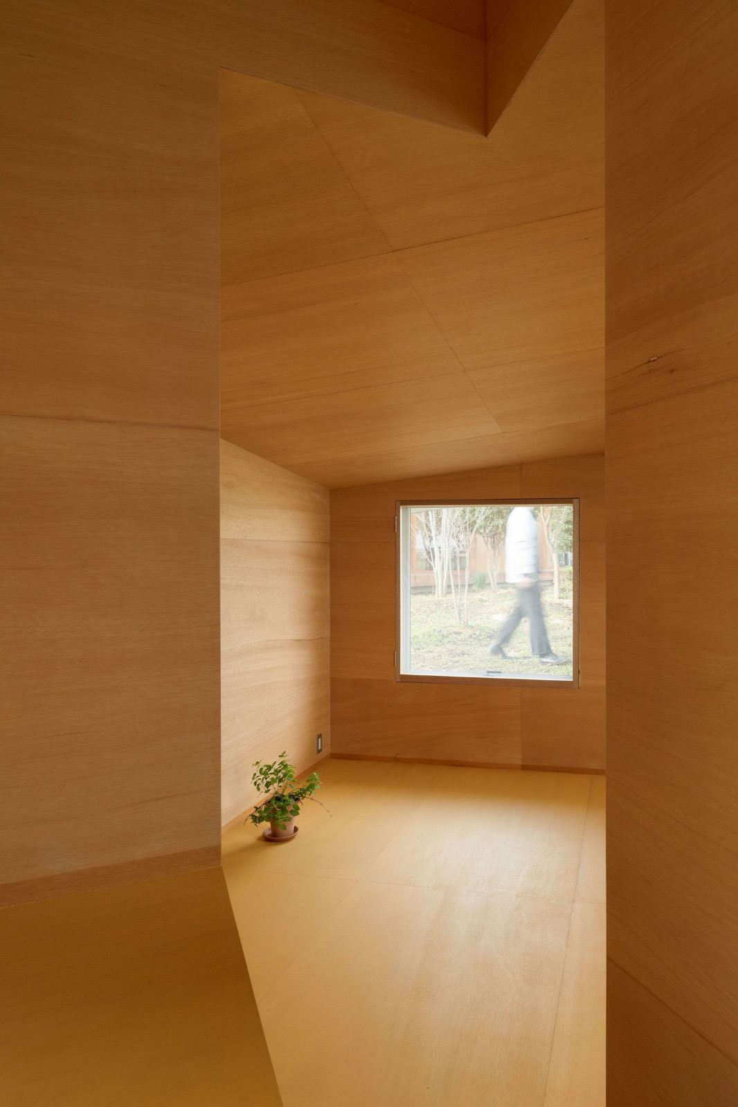 Miya Akiko Architecture Atelier：屋顶与窗户-7