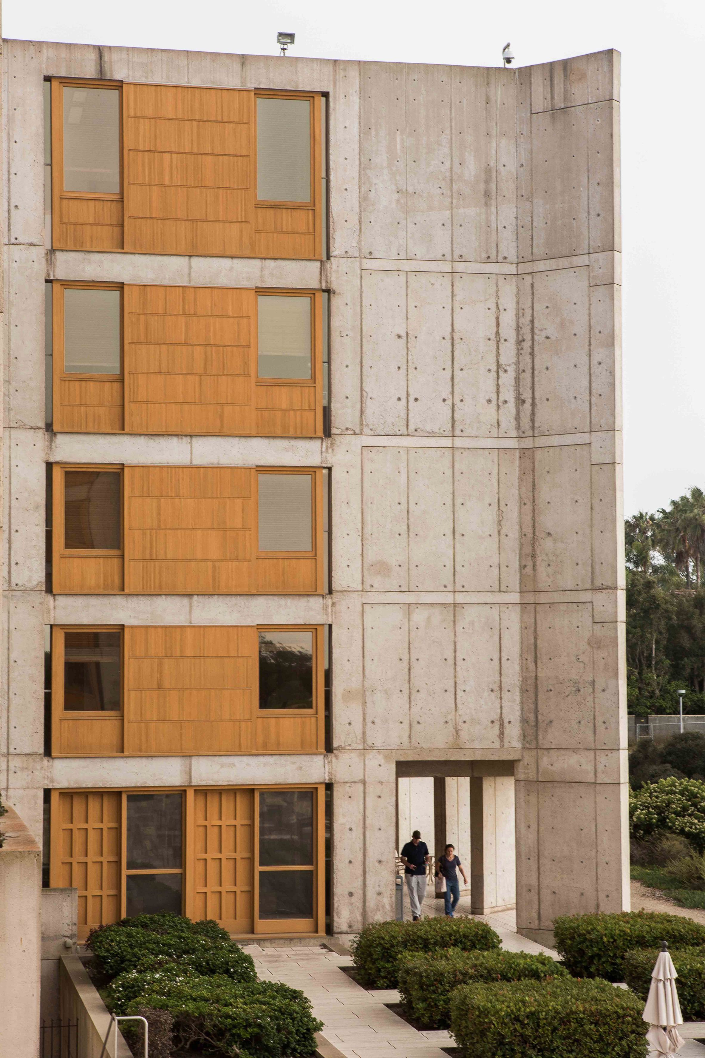 Restoration work completes on Louis Kahn's Salk Institute in California-22