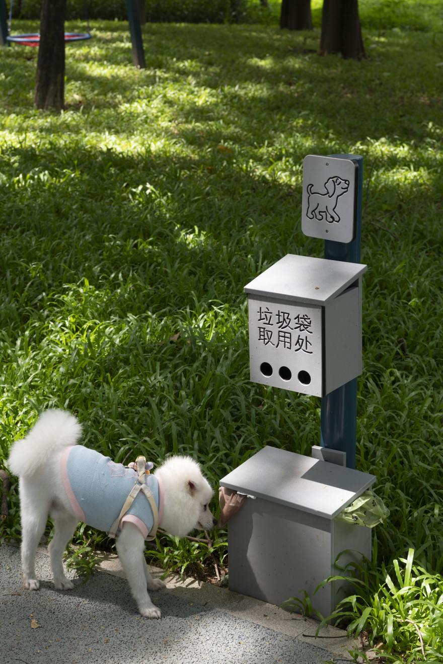 深圳市罗湖泥岗东路宠物友好口袋公园丨中国深圳丨深圳市未名设计顾问有限公司罗湖分公司(WMLA)-69