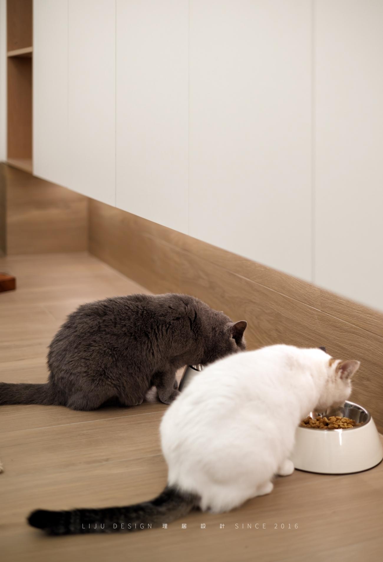 63㎡老房爆改流浪猫之家丨中国厦门丨理居设计-52