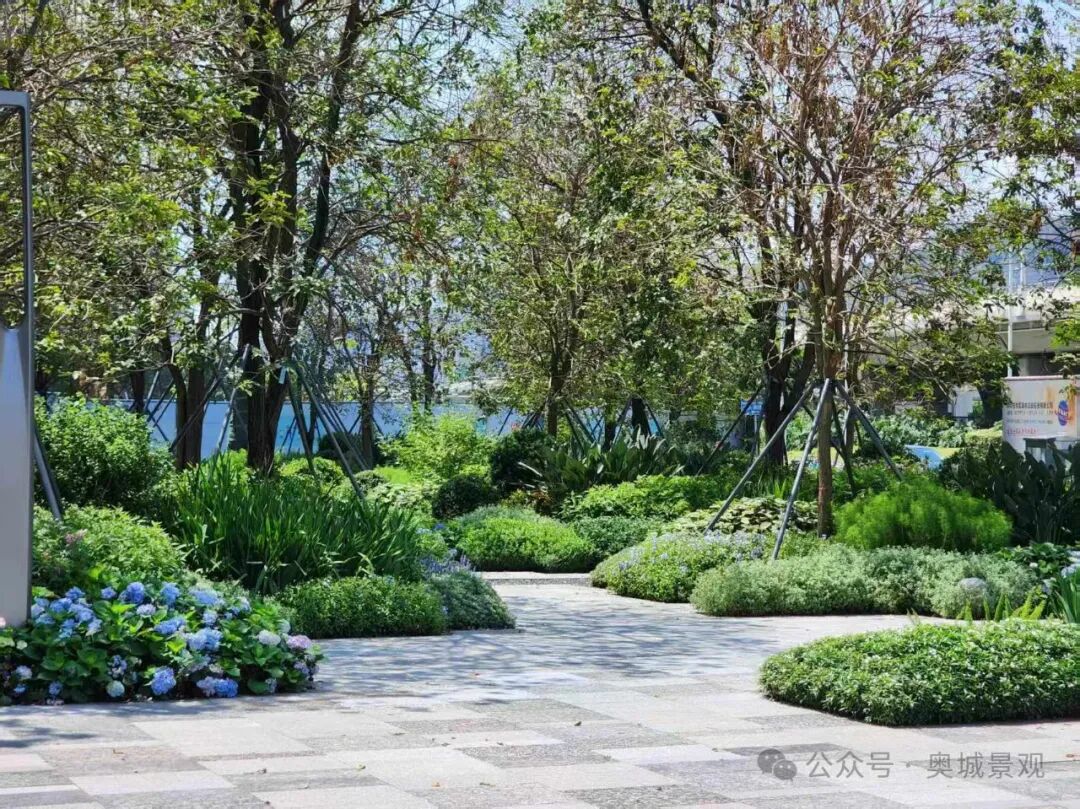 奥城景观||深圳•招商•前海经贸中心大厦环境综合提升工程-25