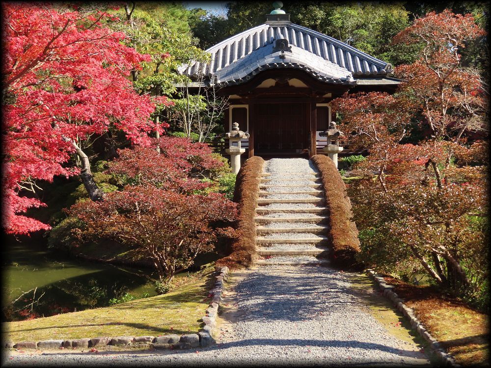 桂离宫的持仏堂,园林堂与“夏之茶屋”赏花亭等建筑丨日本京都-33