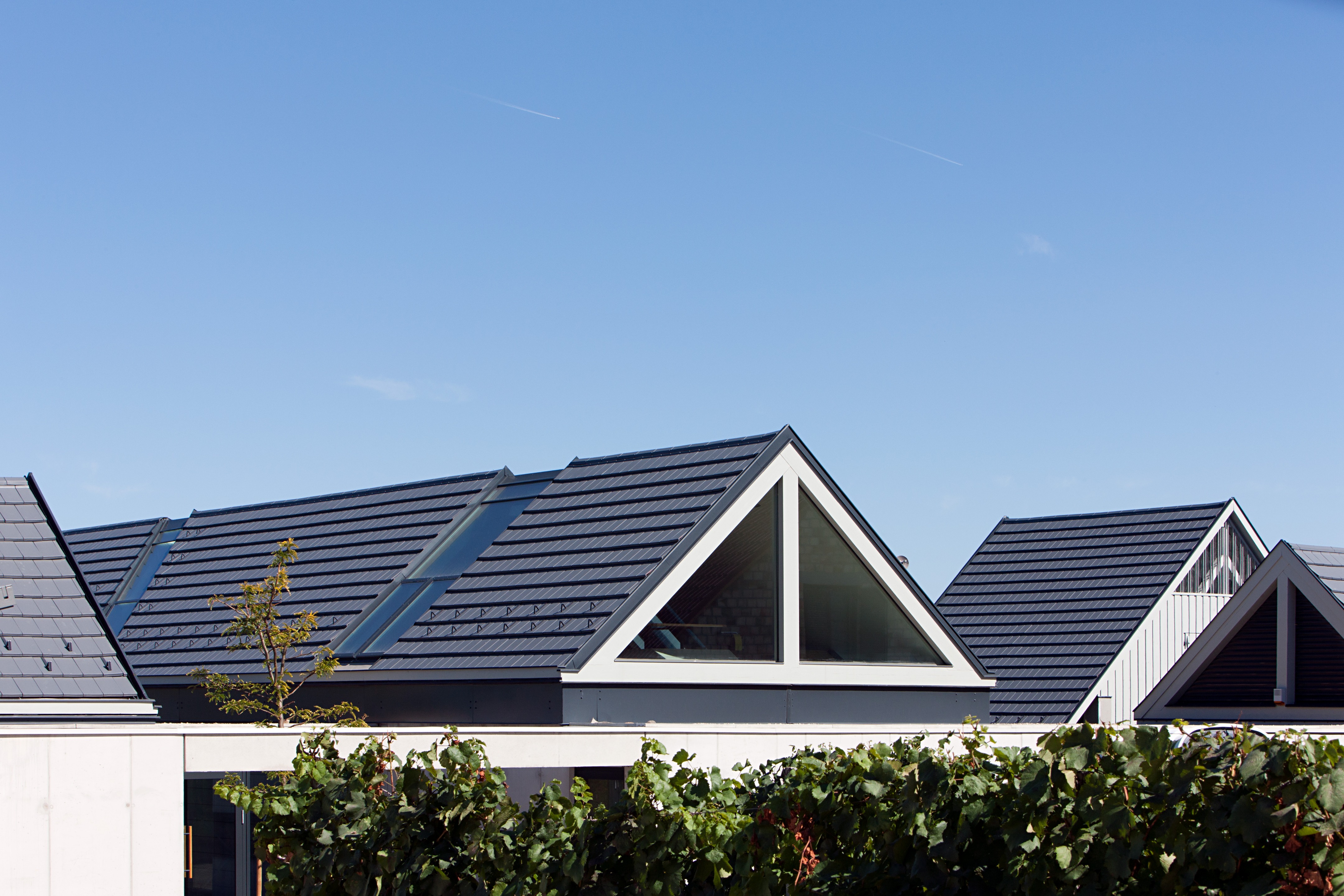 艾泰基库里亚酒庄-21