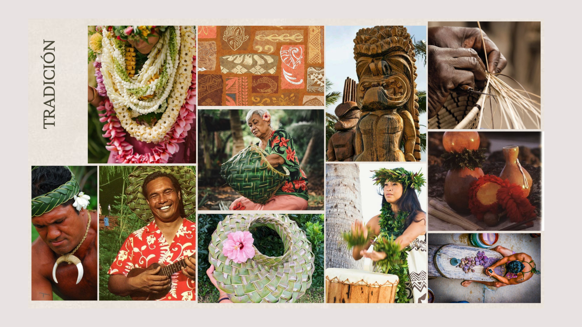Aloha bloom 2026-11