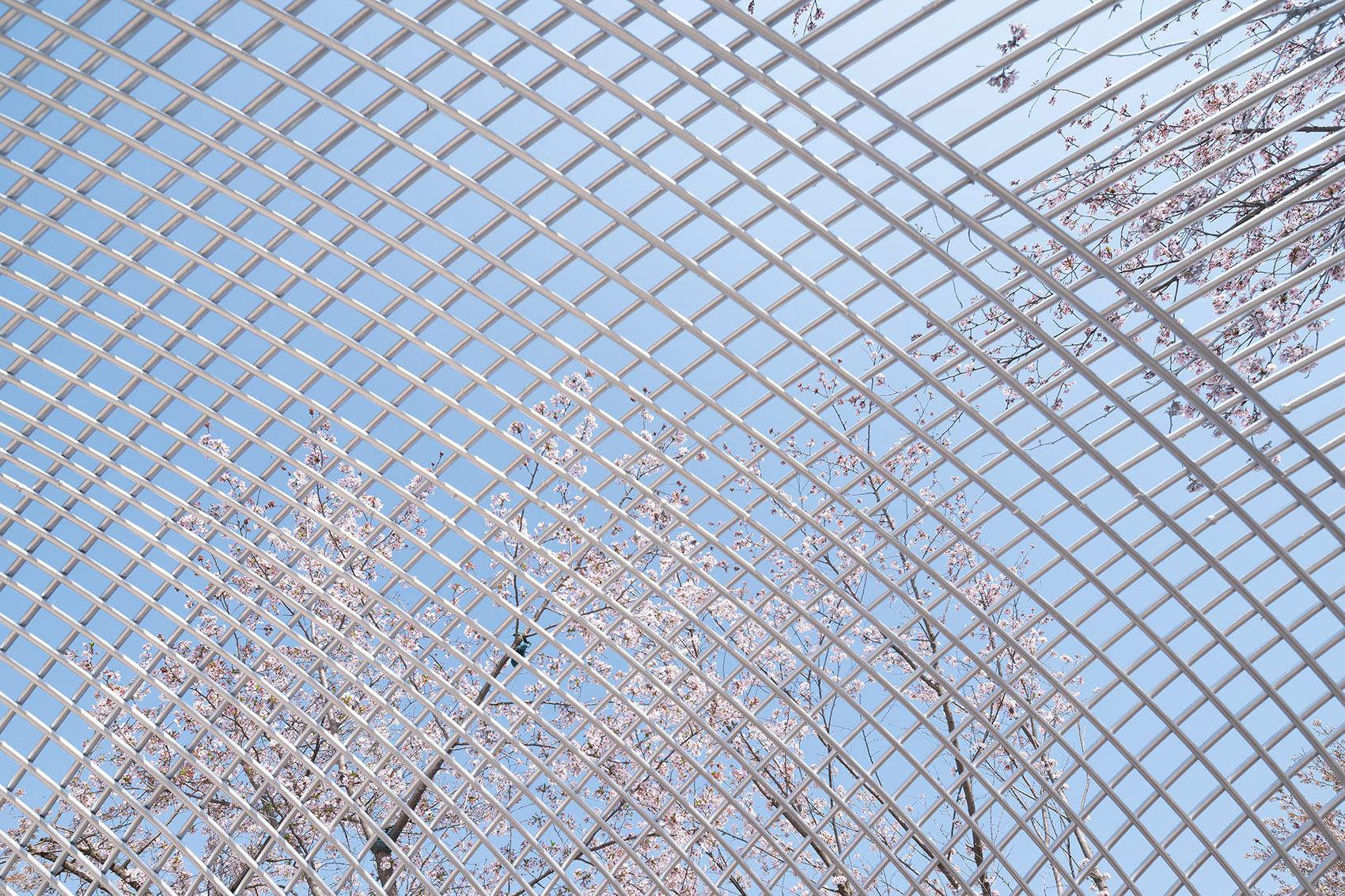 白鹭湾无界剧场丨中国日照丨北京观筑景观规划设计研究院-37