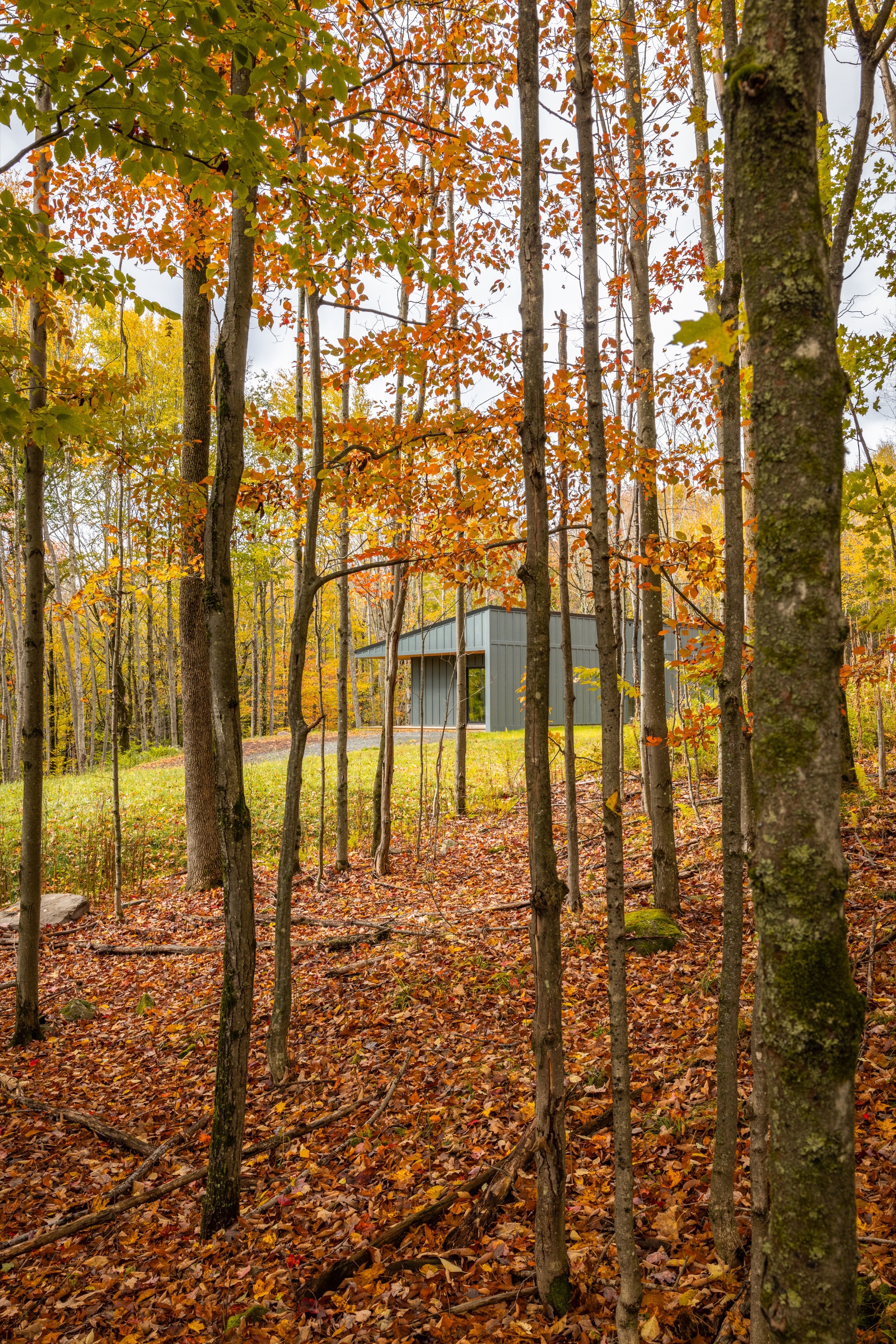 利文斯顿庄园宅邸丨美国丨Marc Thorpe Design-29