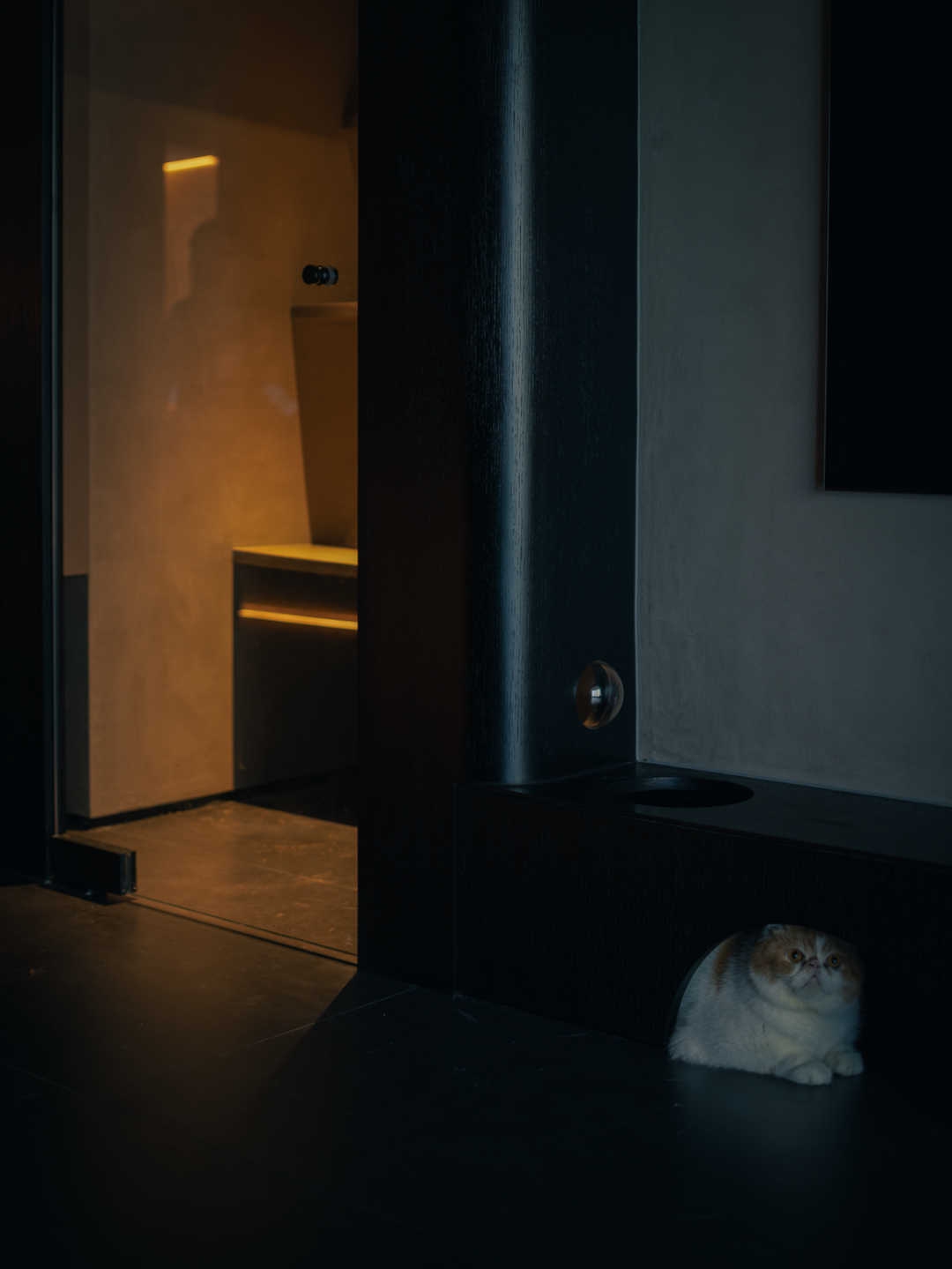 黑色生命力 · 乐清私宅丨中国浙江丨目后空间设计-20