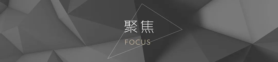 惠州蓝光·铂汇公馆——都市秘境中的璀璨钻石-12