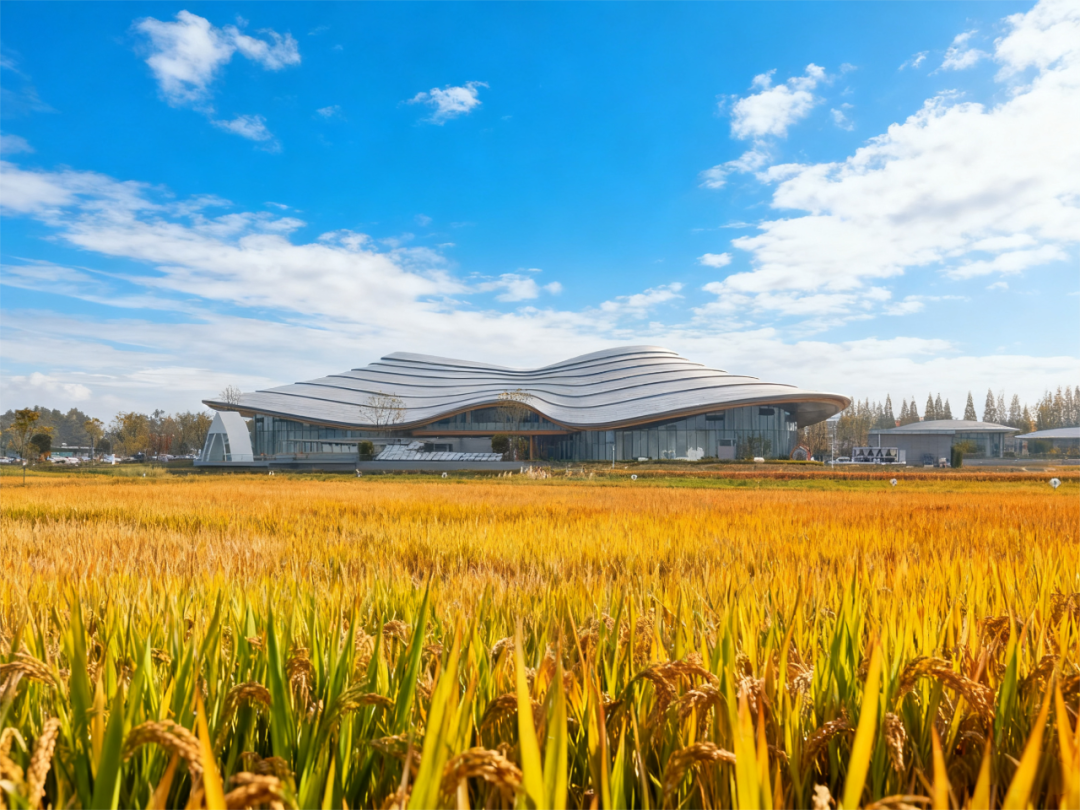 祝贺最大微度假地+最大婚庆中心双料地标启用，世园会又添打卡神地！-5