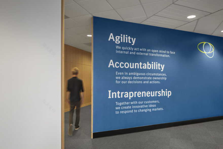 Boehringer Ingelheim: Branded Graphics - Perkins Eastman-3