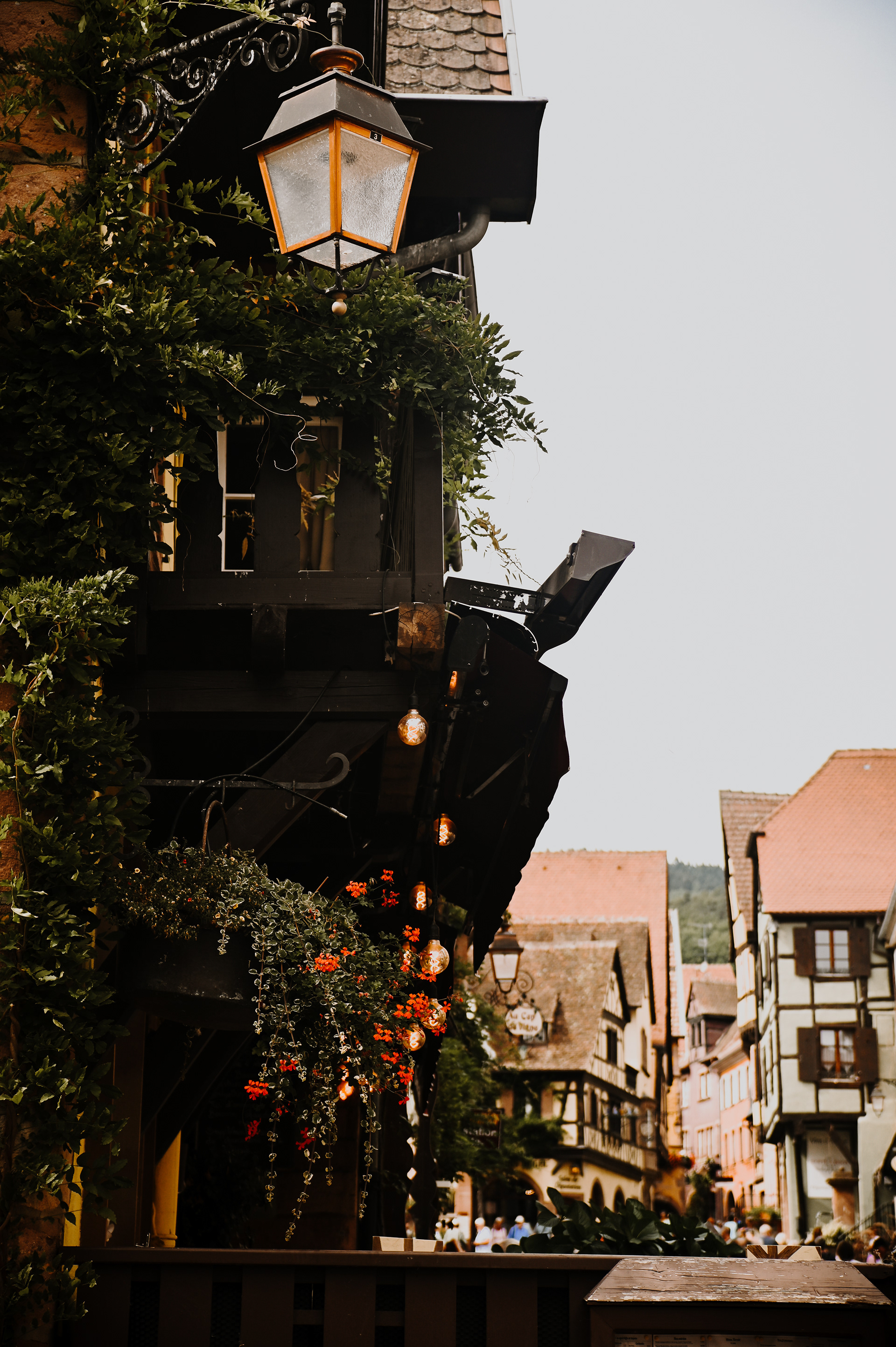 花与建筑的拥抱丨rach_vdb & hash_yan-16