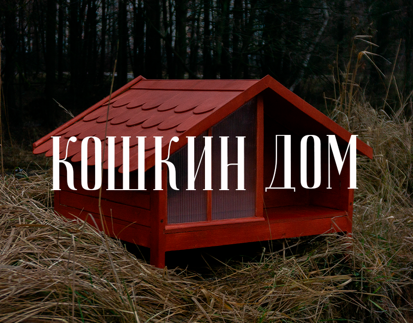 Кошкин дом(猫的房子)丨文本未明确提及-0