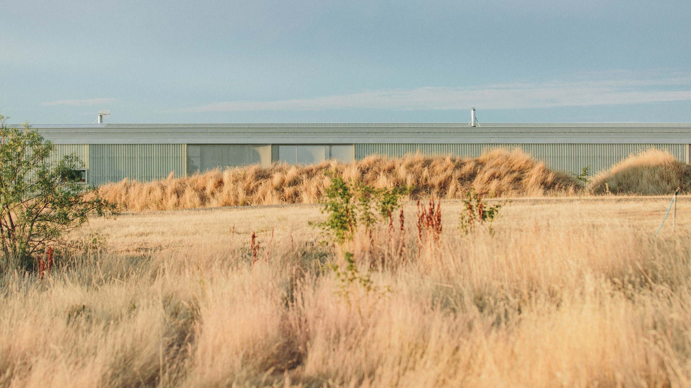 澳大利亚林地里的百米长屋-0