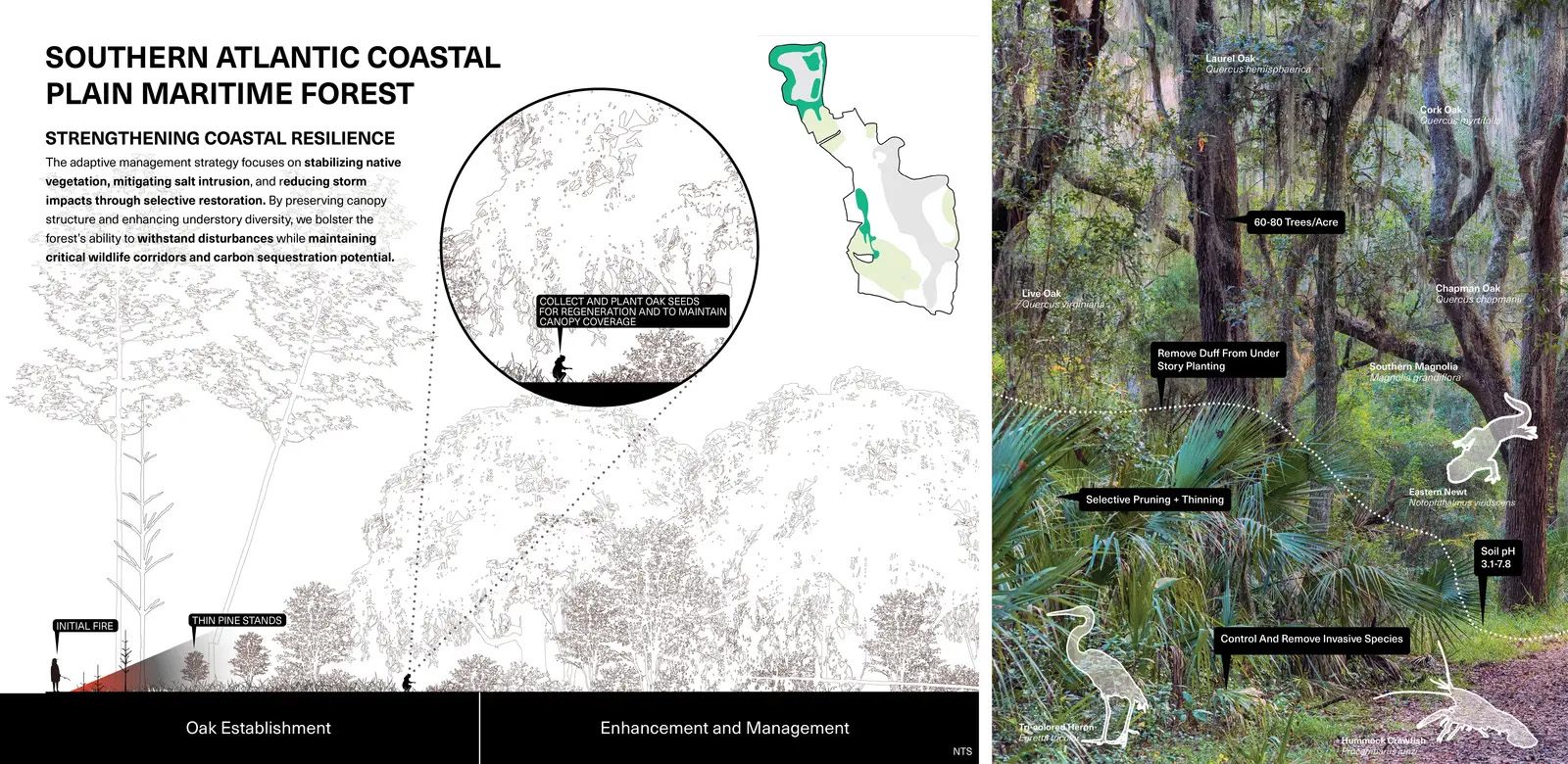 试验场:从高尔夫球场到屏障岛生态系统丨美国丨Design Workshop,Inc.-45
