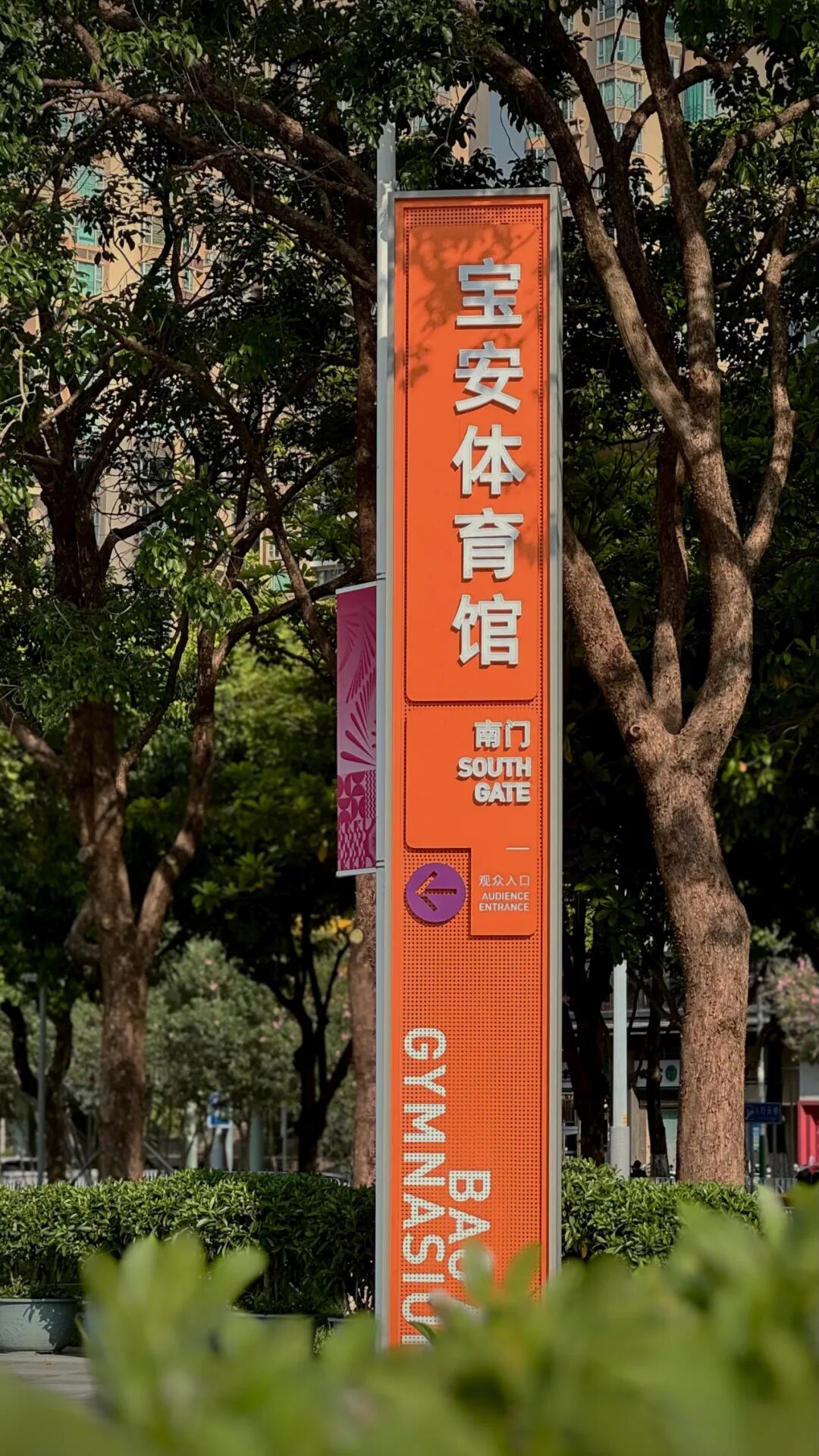 一眼吸睛！十五运会场馆焕新计划|宝安体育中心标识项目-4