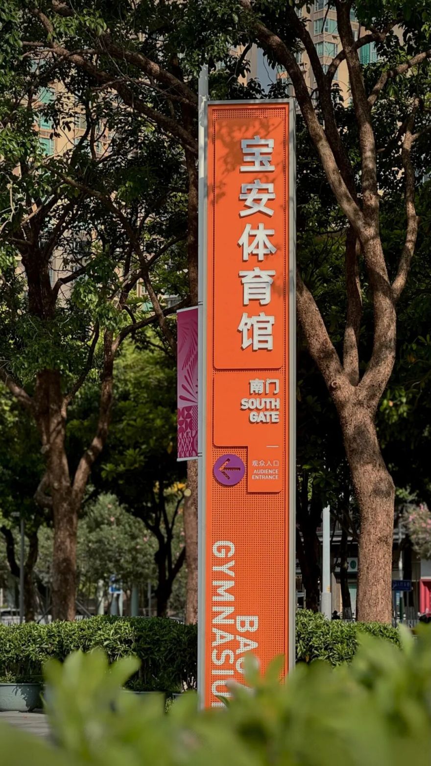 一眼吸睛!十五运会场馆焕新计划|宝安体育中心标识项目-4