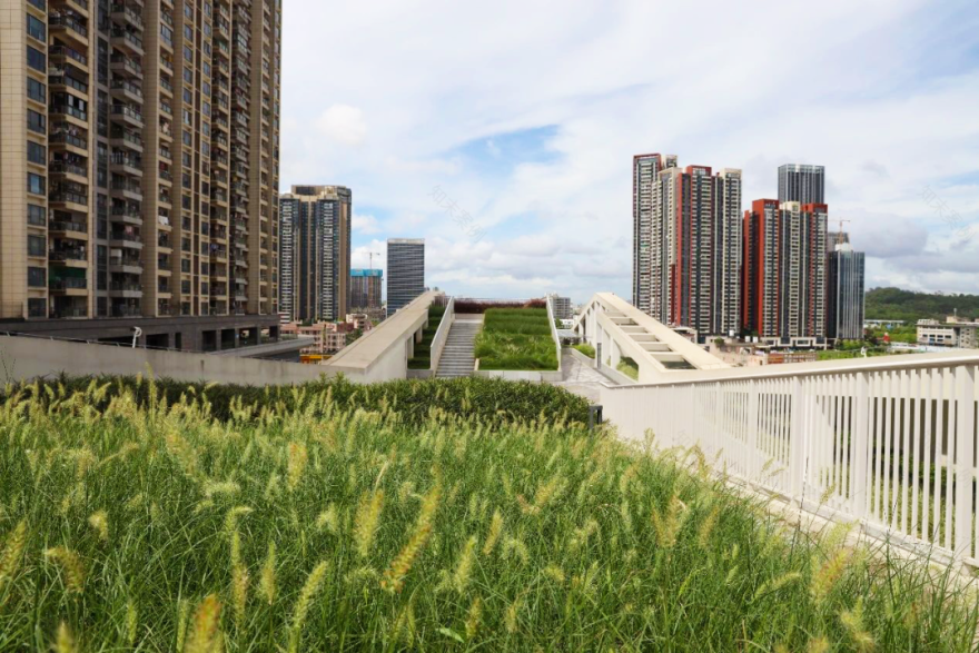 深圳市坪山区六联小学扩建工程丨中国深圳丨申都设计集团深圳分公司-24