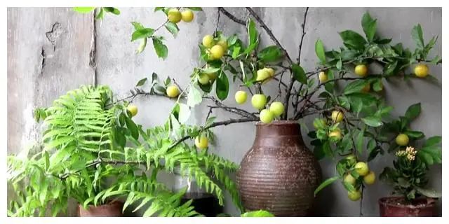 李子柒家居搭配揭秘 | 世外桃源的创意设计-80