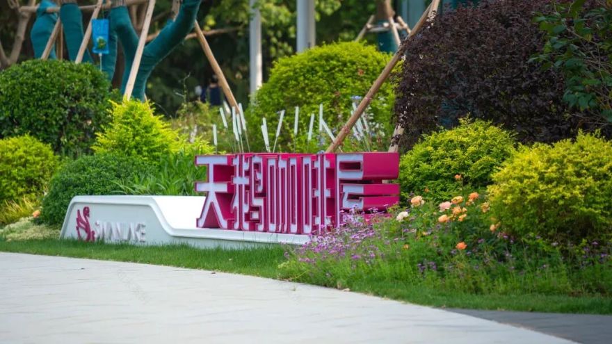 唤醒自然,天鹅重现—城市里的治愈系游园|园科作品-61