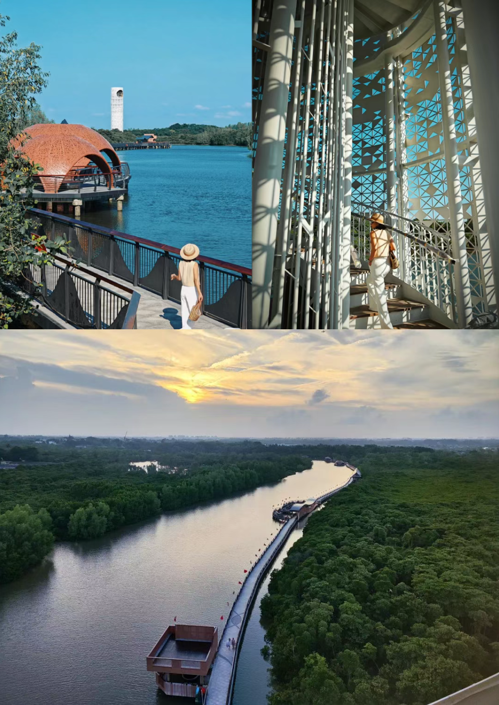 LDG动态︱海口东寨港红树林旅游区：生态典范，设计华章-7