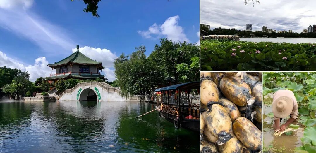上宸作品丨广东省东莞市企石镇乡村振兴示范带建设项目（一期）-92