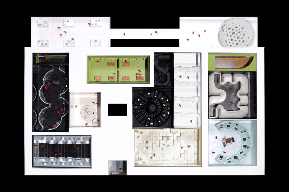 《Louis Vuitton:梦想之旅》展览丨日本大阪丨OMA纽约事务所-23