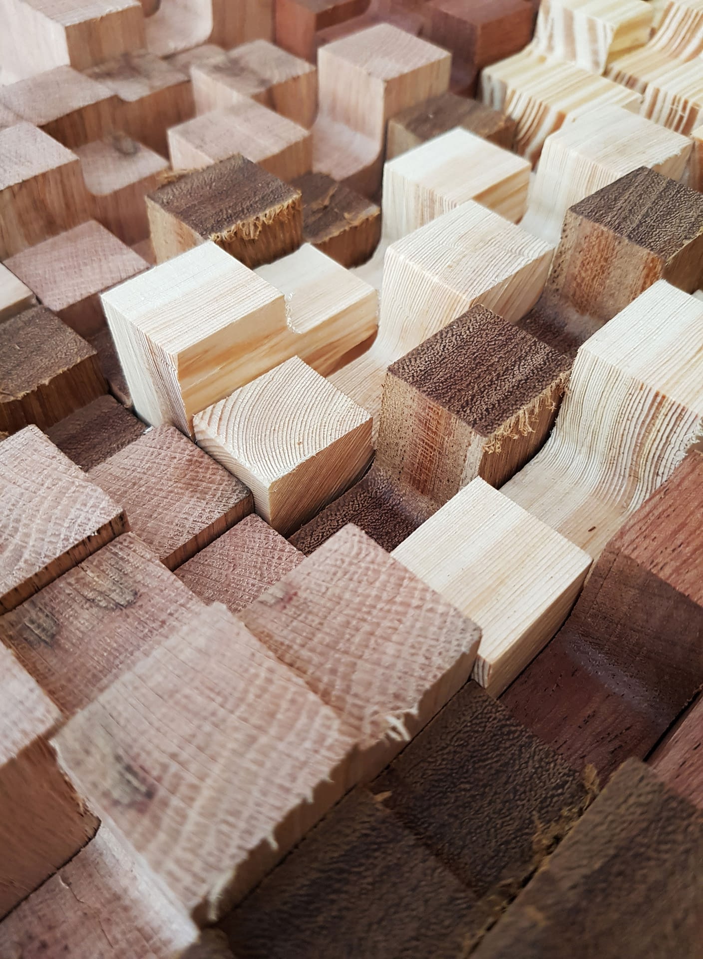 施罗德 – 全基因组编码计划（注：ENCODE全称为Encyclopedia of DNA Elements ，一般译为全基因组编码计划 ） -7