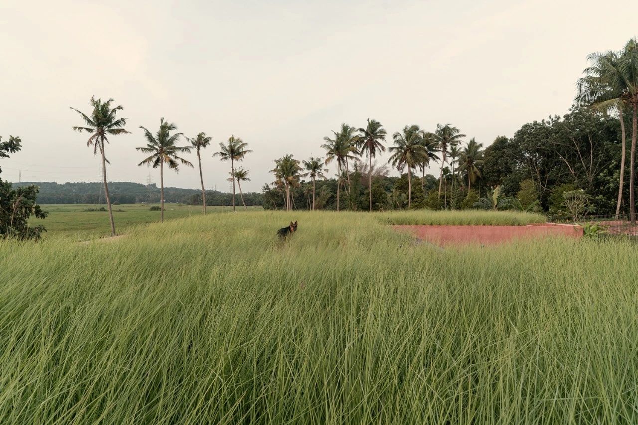 苏门答腊巴厘别墅丨印度班加罗尔丨The Auburn Studio-34