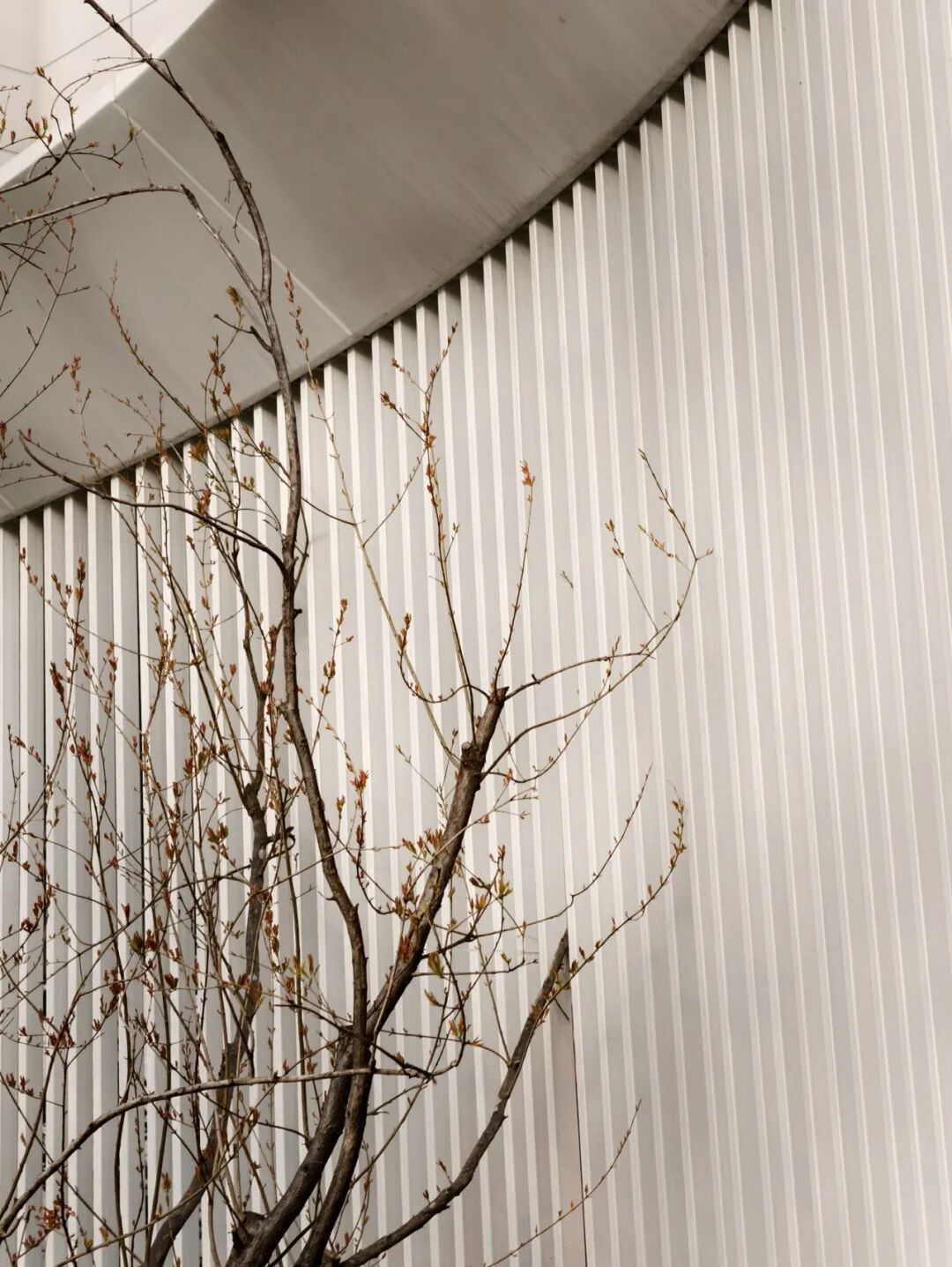 独山以南，自然之中|科创·观山苑-99