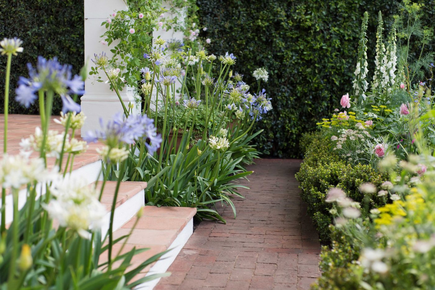 2018 Trailfinders南非葡萄酒庄园展示花园丨Jonathan Snow-3