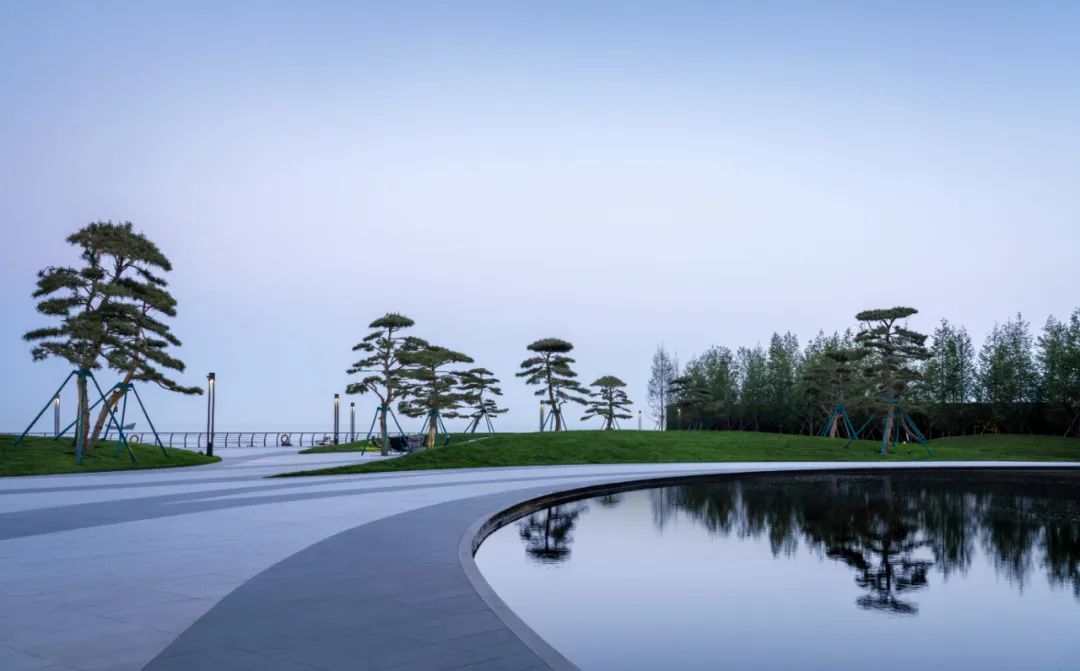 松林浪屿，海岸逐光丨青岛 · 云上观海-47