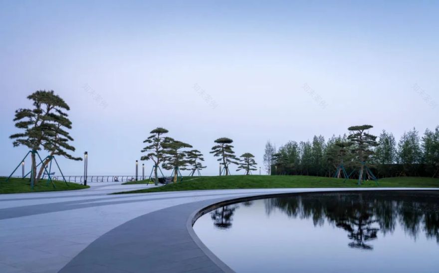 松林浪屿,海岸逐光丨青岛 · 云上观海-47