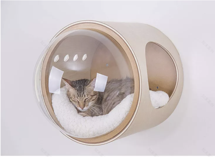 二间半设计|| 三蘇·PET LIFE 宠物店 | 太空舱展示与流浪猫关怀-7