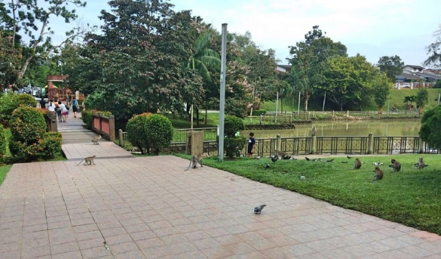 6 reasons why Mont Kiara has become a sought-after address in Malaysia - Asia Property Awards-6