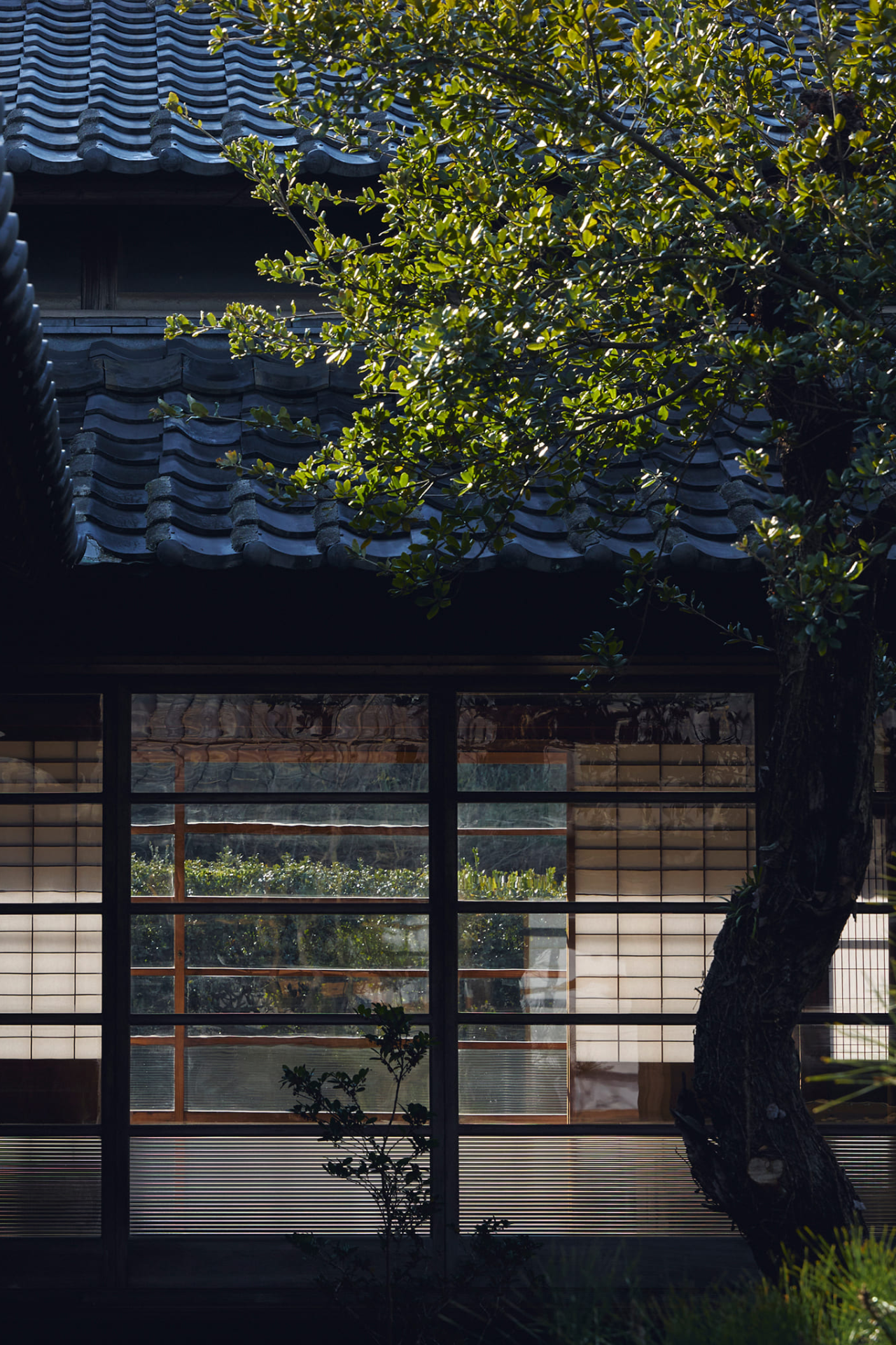 本岛避难所丨日本丨Makoto Yamaguchi-24