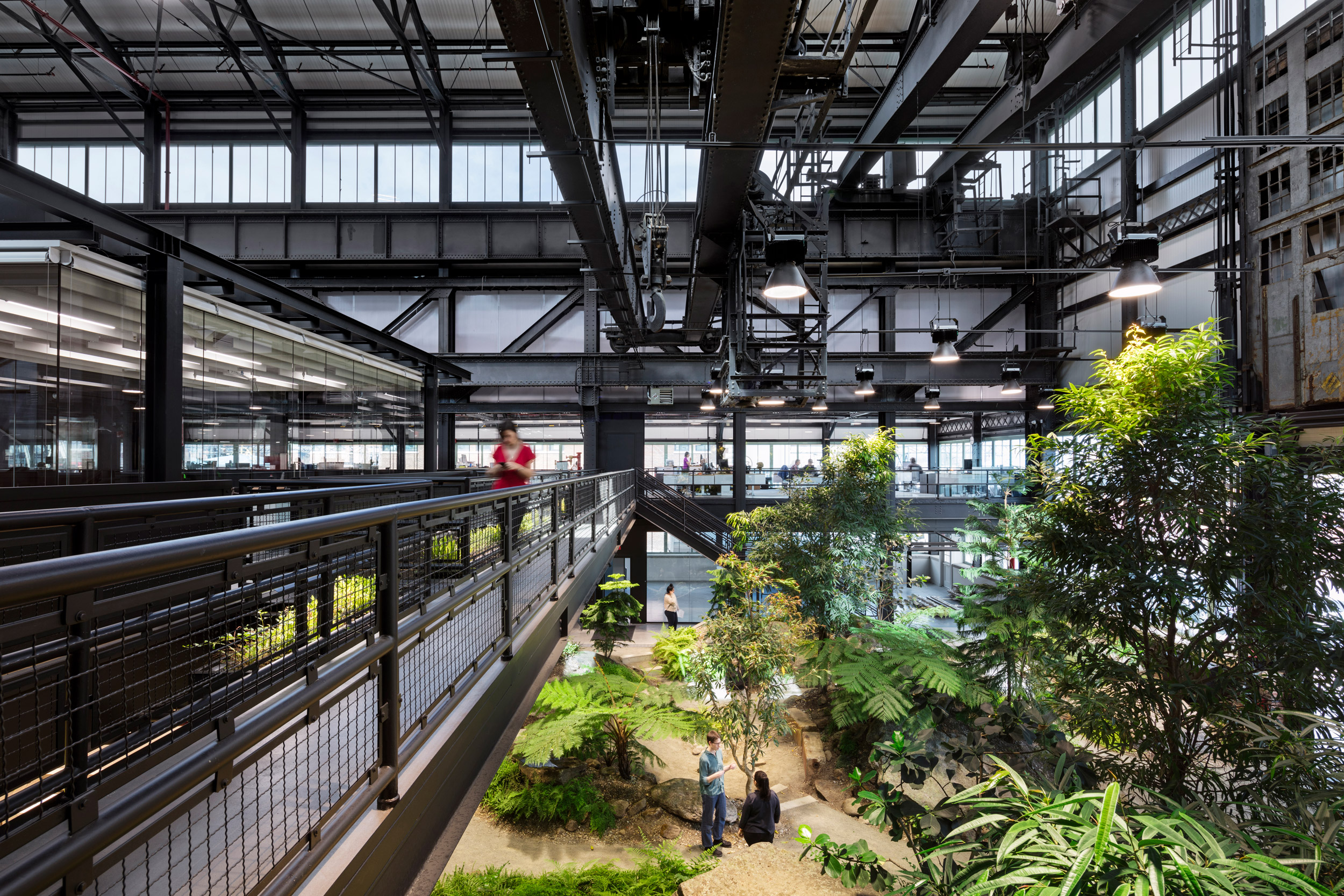 “最硬核”的办公空间改造，废弃海军造船厂中长出了一座封闭森林！-19