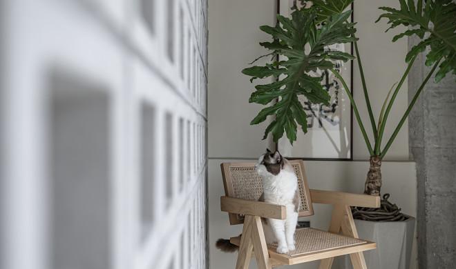 大亦设计工作室丨中国江苏-24