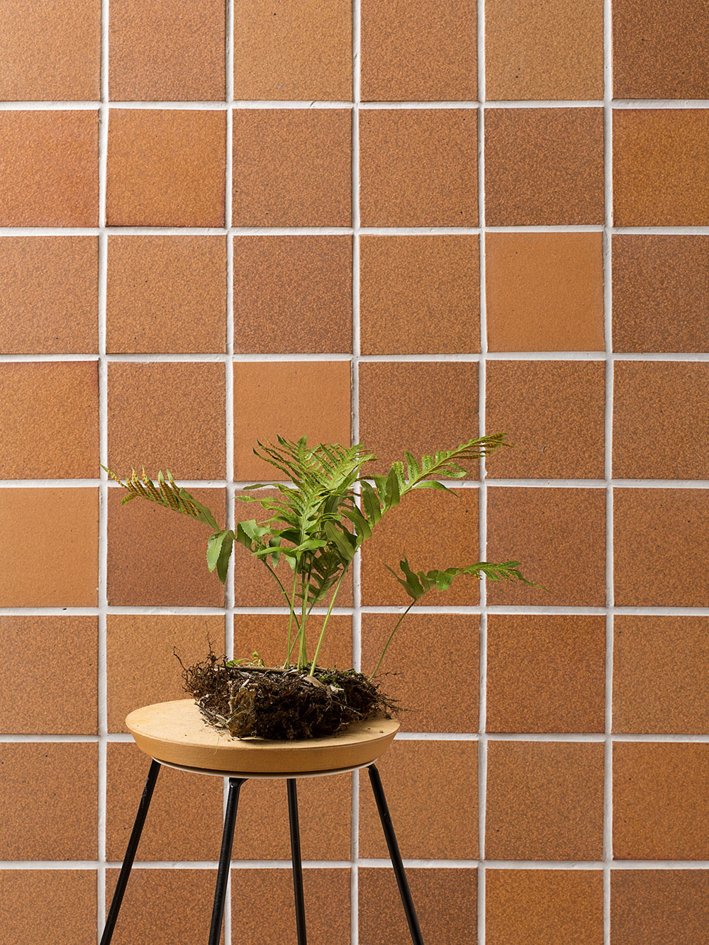 Ceràmica Ferrés品牌形象设计项目-13