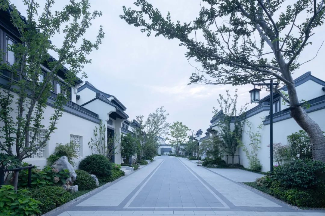 苏北水乡的精致生活小镇·宿迁绿城梨园湾小镇丨中国宿迁丨浙江蓝颂园林景观设计集团有限公司-32
