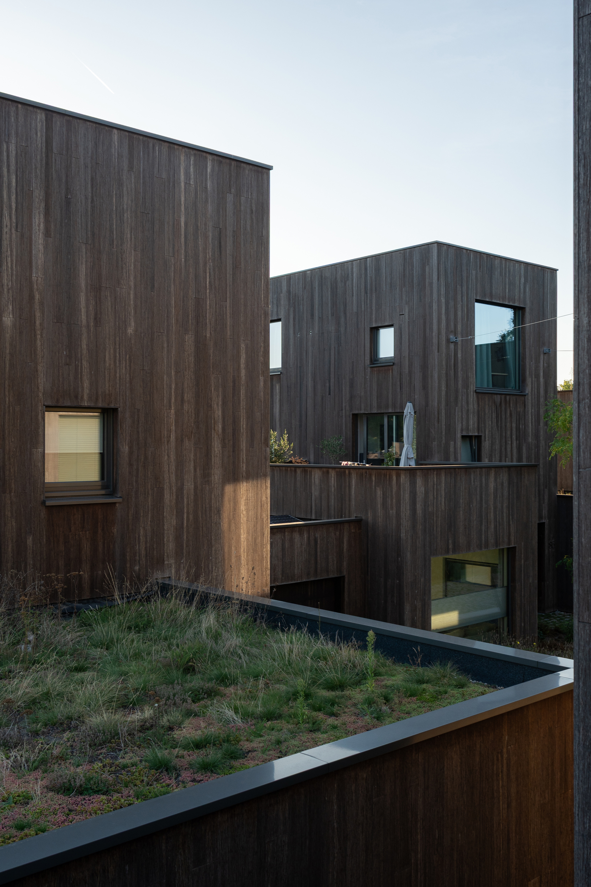 博斯里克住宅丨荷兰丨Marcel Lok_Architect-35