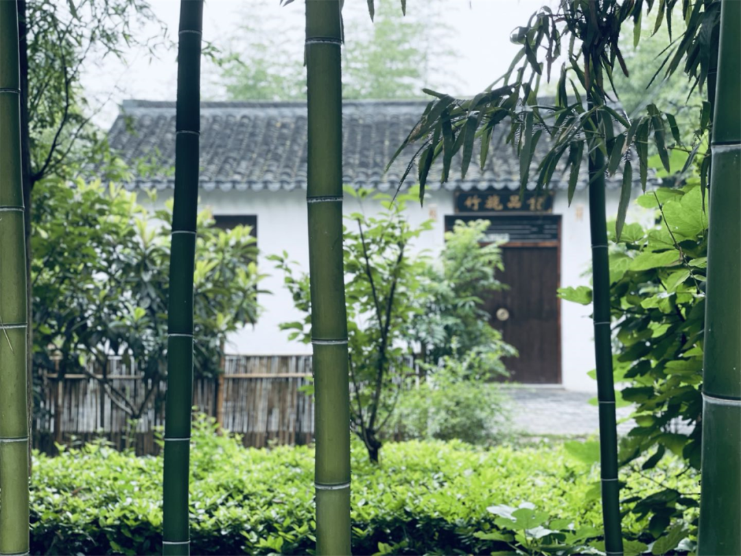 境作|恋“练”春光，“宝藏”踏青地：青浦徐练村，有多好逛？-65