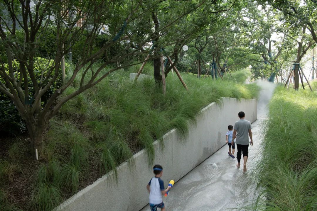 穿水公园——麓湖活水公园首开段 | Lab D+H 实践-38