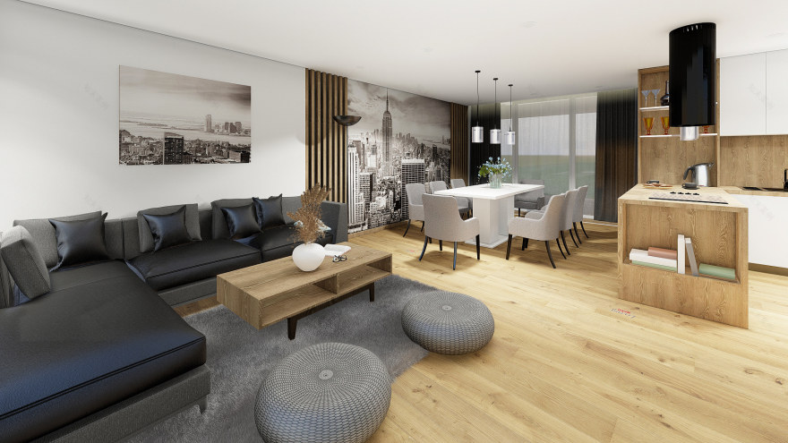 Vir岛老房子改造项目丨克罗地亚-3