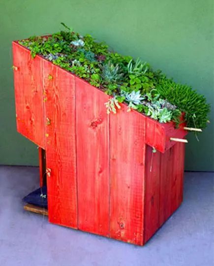 庭院宠物之家 | 打造宠物宜居的户外空间-32