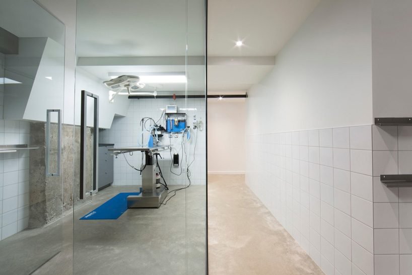 由废弃摄影棚改造的蒙特利尔宠物医院 住宅  T B A-6